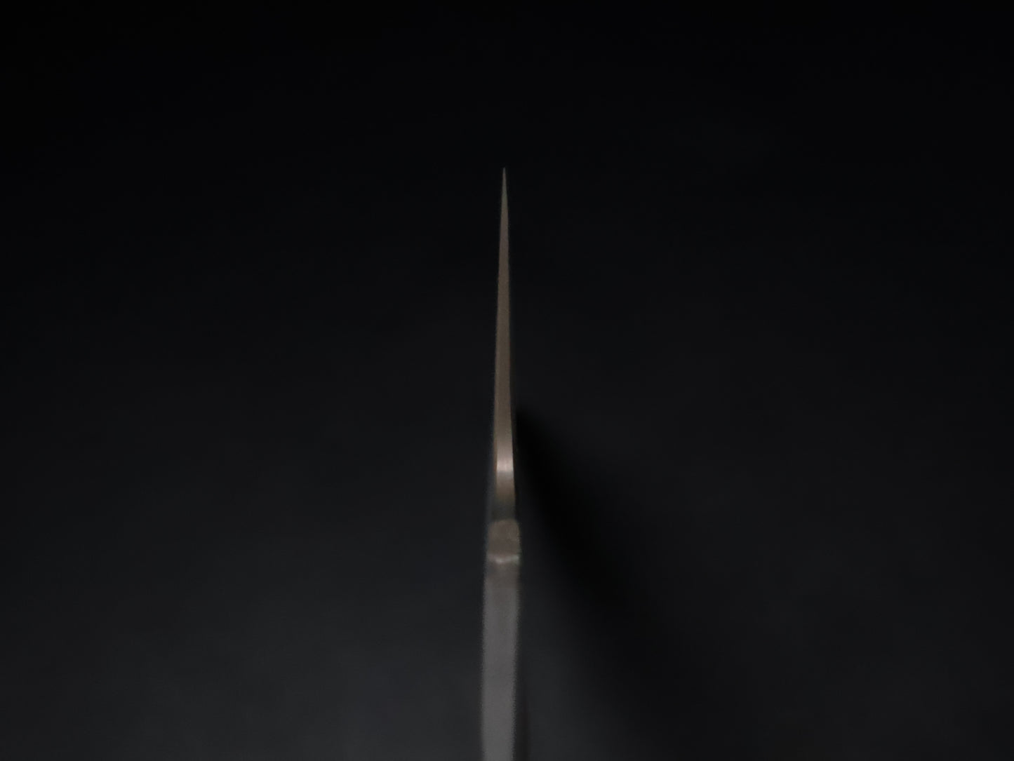 Shoichi Hashimoto Zaregumo Gyuto 240mm 橋本庄市作戯雲ざれぐも牛刀240mm