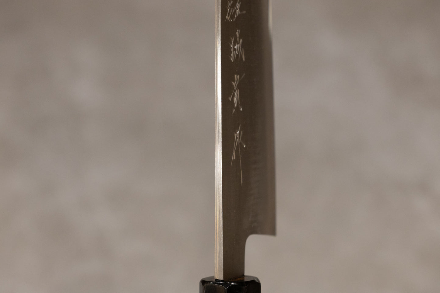 Shigeki Tanaka Aogami #2 Stainless Clad Migaki Gyuto 240mm 田中誠貴青二鋼ステンレスクラッド磨き牛刀240mm